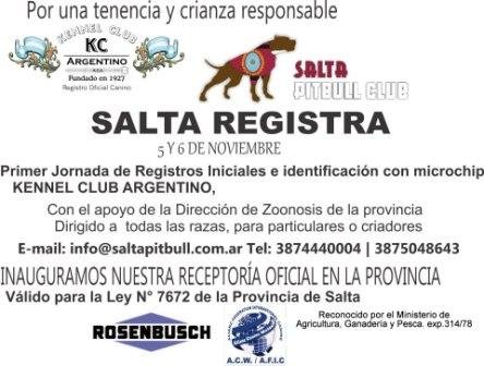 Imagen destacada del artículo «Registros Iniciales en Salta»
